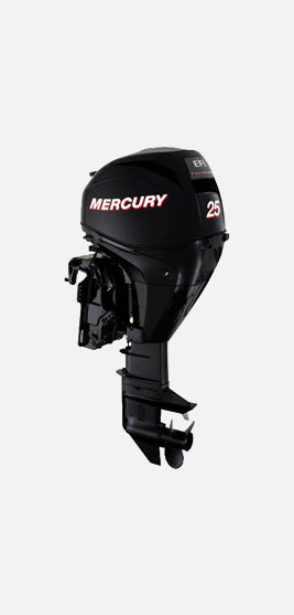   Mercury Verado 250XL